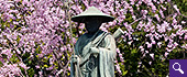 弘法大師立像と桜のサムネイル画像
