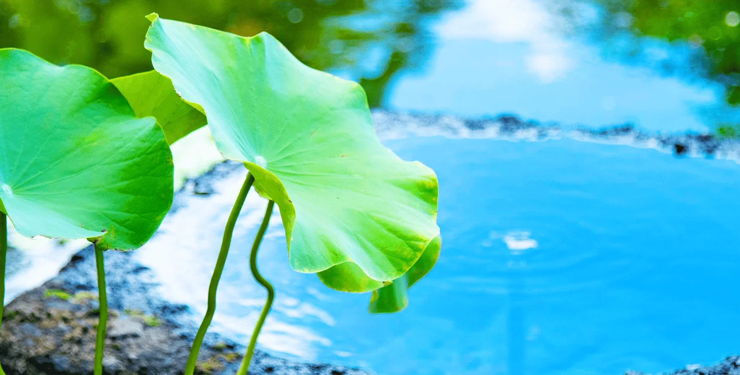 お寺からのお知らせ メインビジュアル