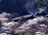 総本山長谷寺の外観